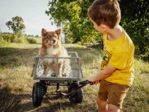 présence animale 4